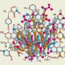 Caractéristiques structurelles de l'Halotestin : Modifications 9α-fluoro et 11β-hydroxy