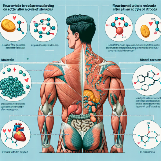 Finasteride et récupération après un cycle de stéroïdes
