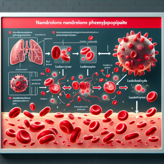 Effet du phénylpropionate de nandrolone sur la production de leucocytes